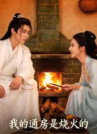 我的通房是烧火的