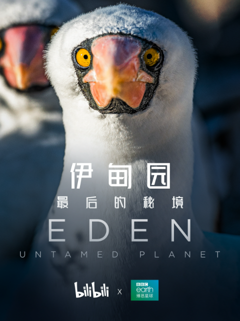 伊甸园最后的秘境中配版