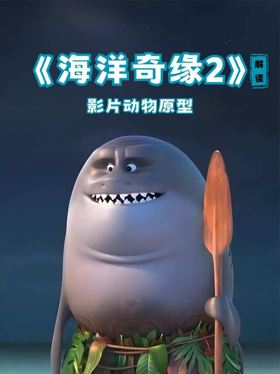 海洋奇缘2解读影片动物原型