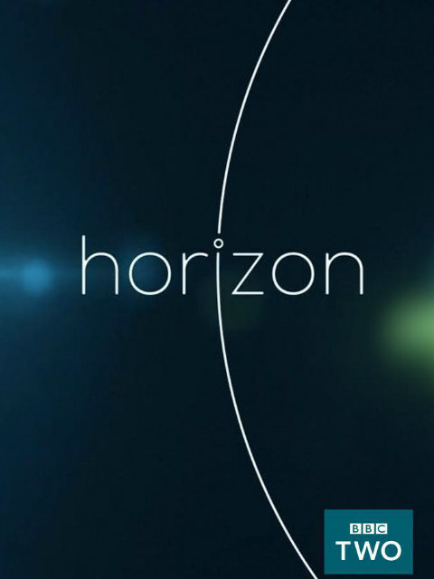 地平线我们为什么会变胖