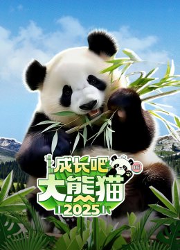 成长吧大熊猫2025之熊猫档案