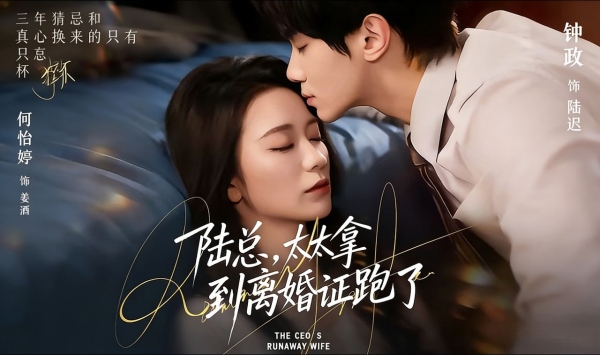 陆总，太太拿到离婚证跑了