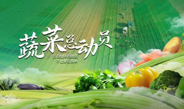 蔬菜总动员