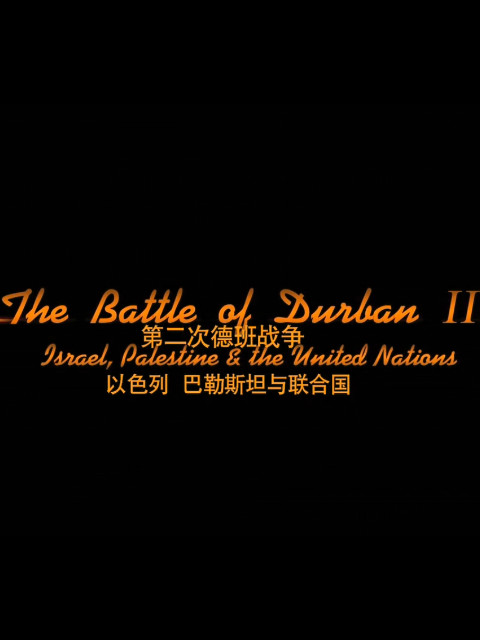 德班战争二以色列巴勒斯坦联合国