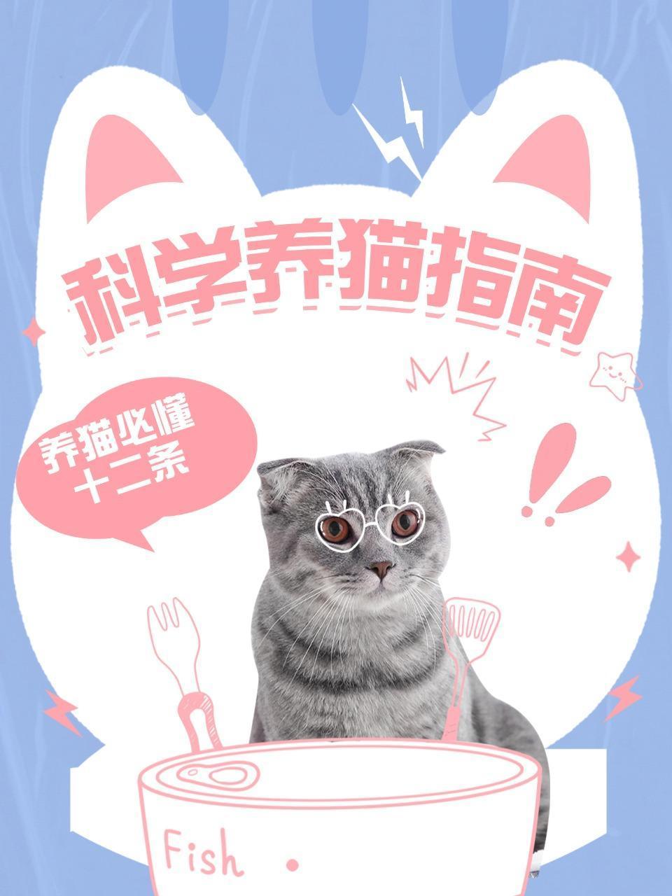 科学养猫指南养猫必懂十二条