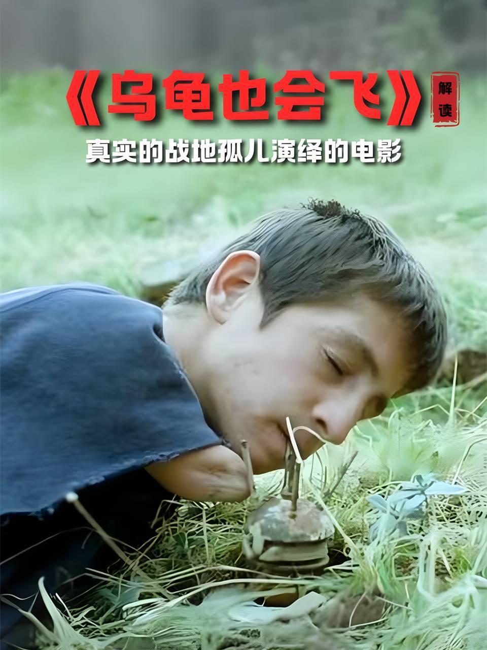 乌龟也会飞解读真实的战地孤儿演绎的电影