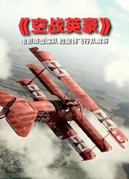 空战英语豪电影原型编队拉斐特飞行队解析