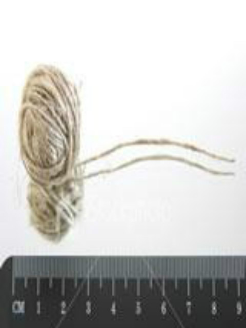 一根绳子有多长