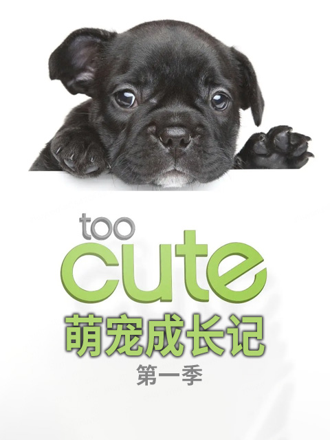 萌宠成长记第1季中配版