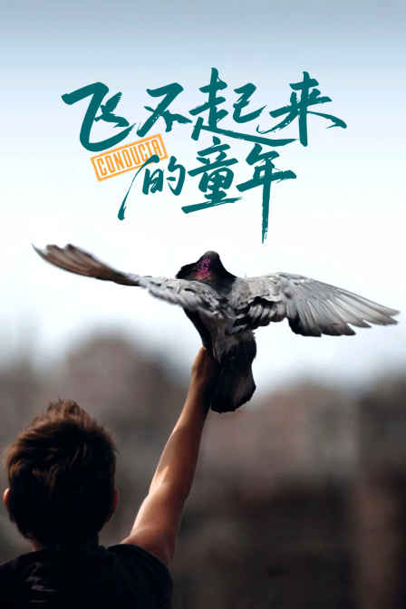 飞不起来的童年