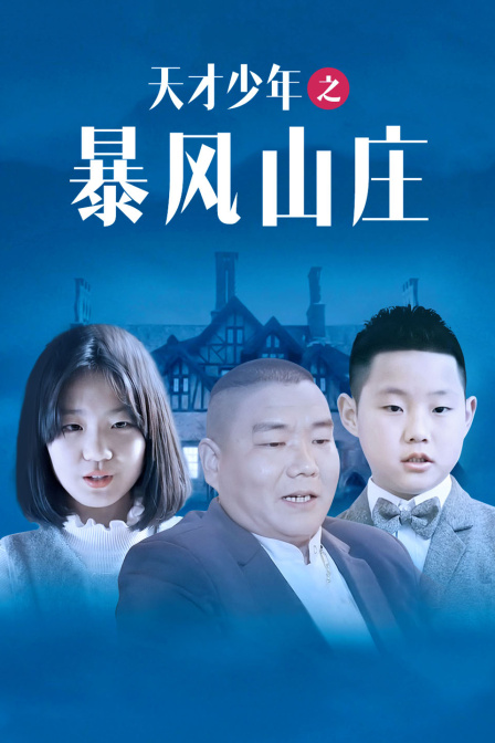 天才少年之暴风山庄