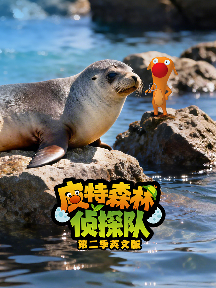 皮特森林侦探队第2季英语文版