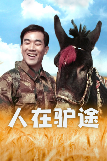 人在驴途