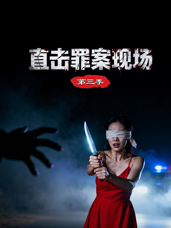 直击罪案现场第3季
