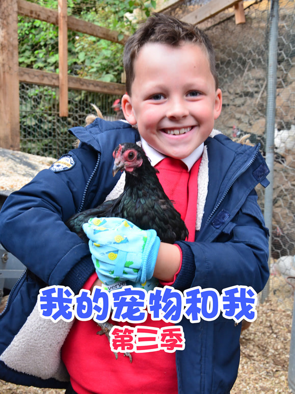 我的宠物和我第3季