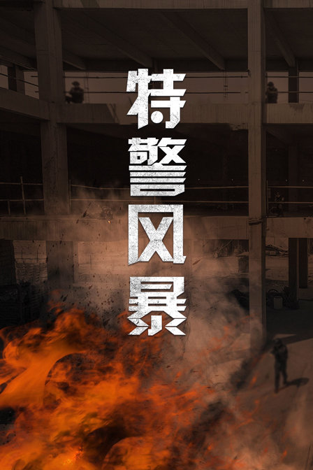 特警风暴
