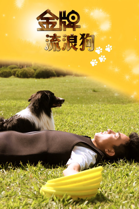 金牌流浪狗