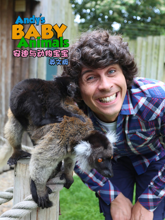 安迪与动物宝宝英语文版