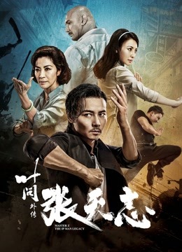 叶问外传张天志