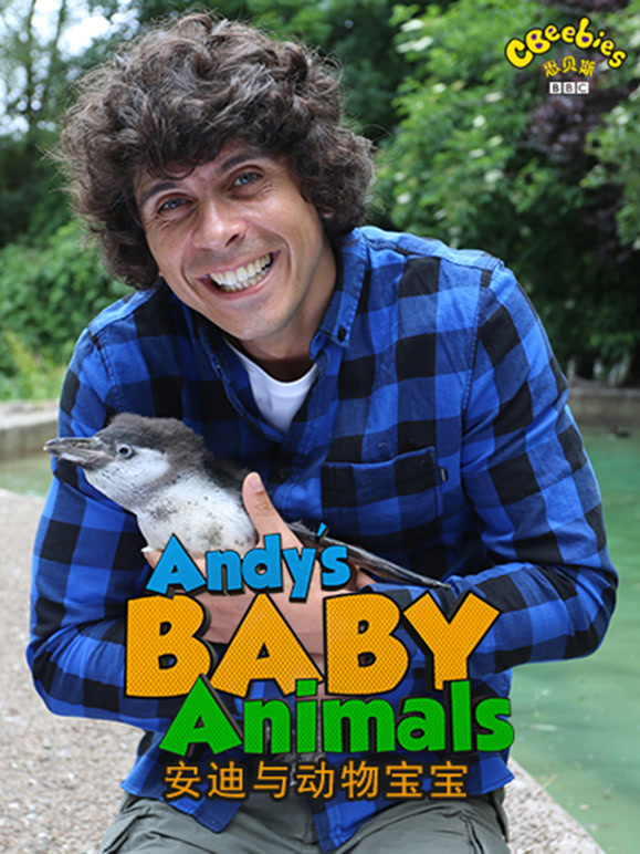 安迪与动物宝宝
