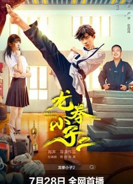 龙拳小子2