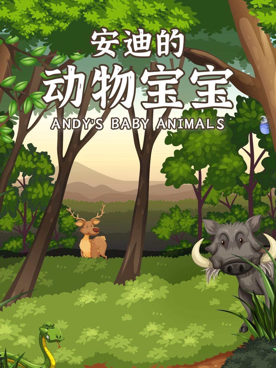 安迪的动物宝宝