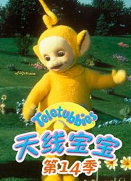 天线宝宝第十四季国语版