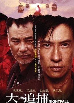 大追捕