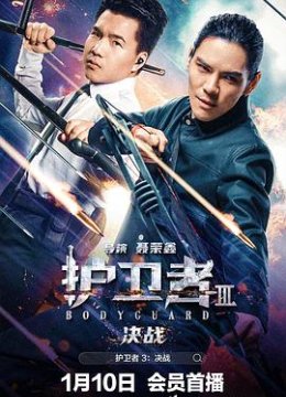 护卫者3决战