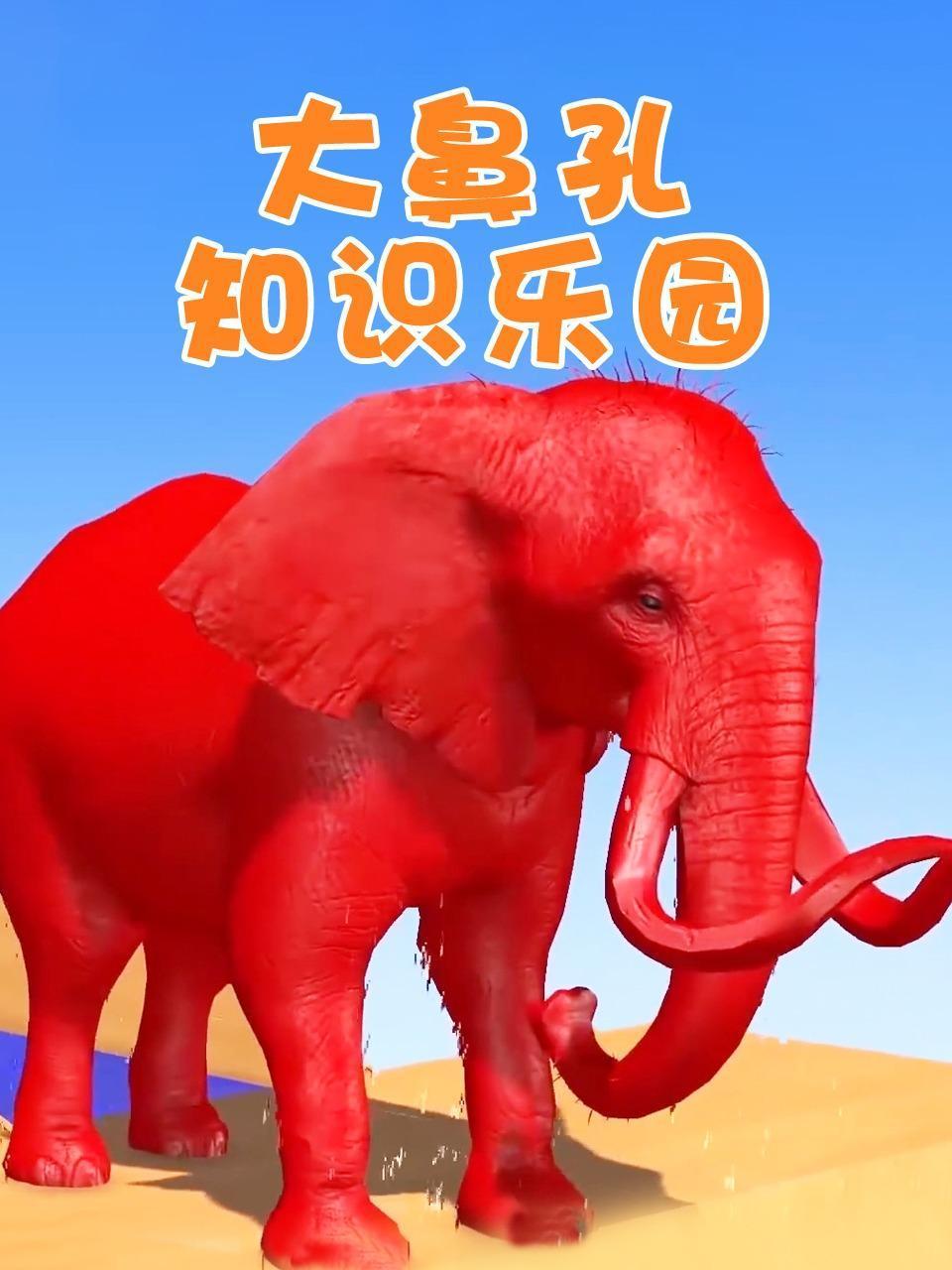 大鼻孔知识乐园