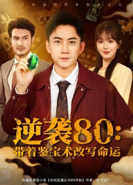 逆袭80带着鉴宝术改写命运