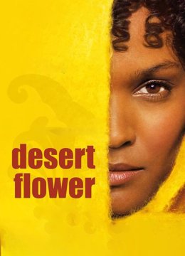 沙漠之花