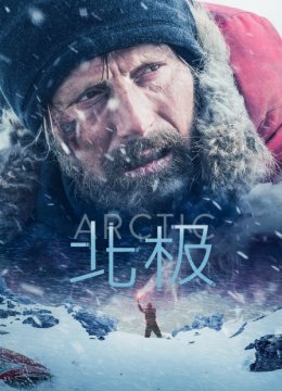 北极