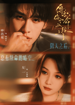 傅总，你的命我续上了