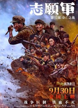 志愿军存亡之战