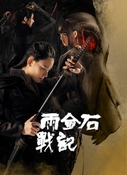 雨金石战记