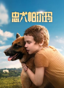 忠犬帕尔玛