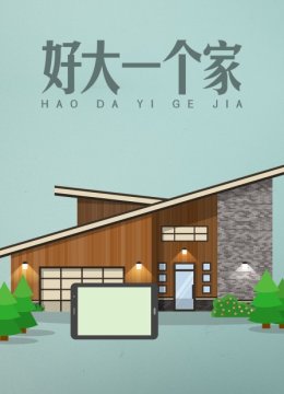 好大一个家
