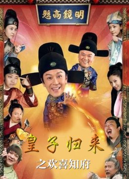 皇子归来之欢喜知府