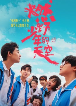 燃野少年的天空