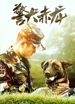 警犬赤龙