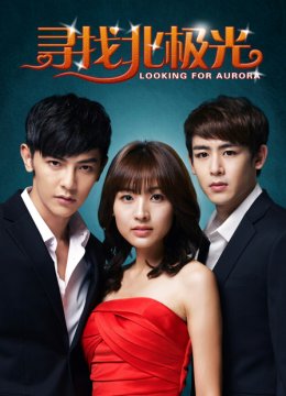 寻找北极光