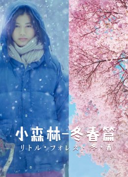 小森林冬春篇