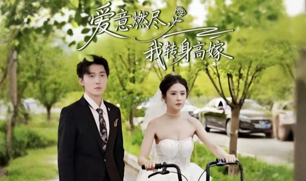 爱意燃尽，我转身高嫁