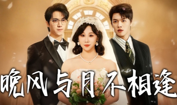 晚风与月不相逢