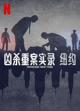 凶杀重案实录纽约