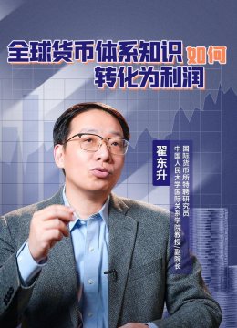 全球货币体系知识如何转化为利润