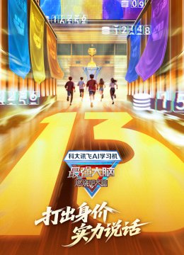 最强大脑第13季