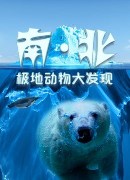 南北极地动物大发现