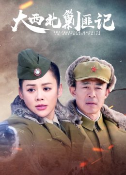 大西北剿匪记